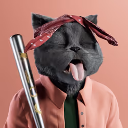 Kitty #5530