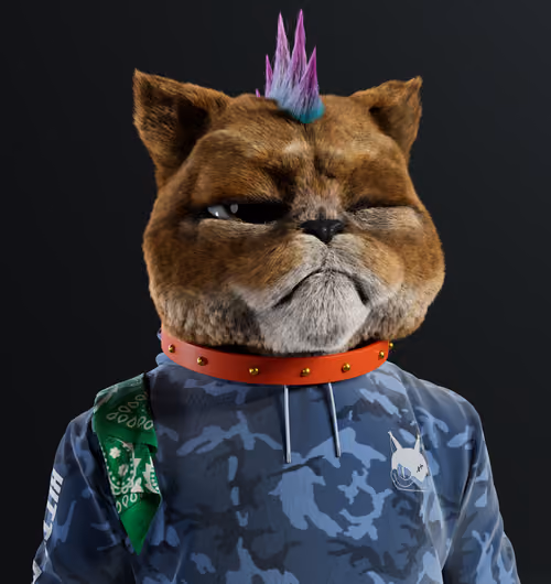 Kitty #7971