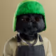 5062