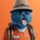 6394