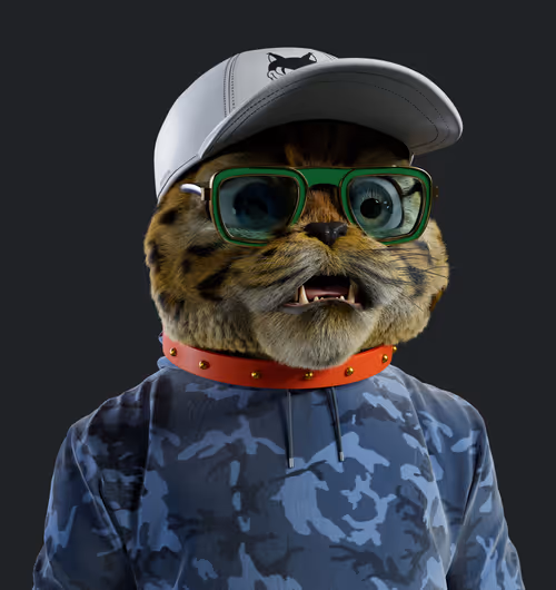 Kitty #7955