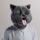 7215