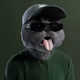 4204