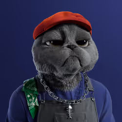 1691