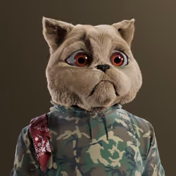 Kitty #5896