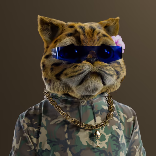 Kitty #4331