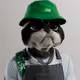 3289
