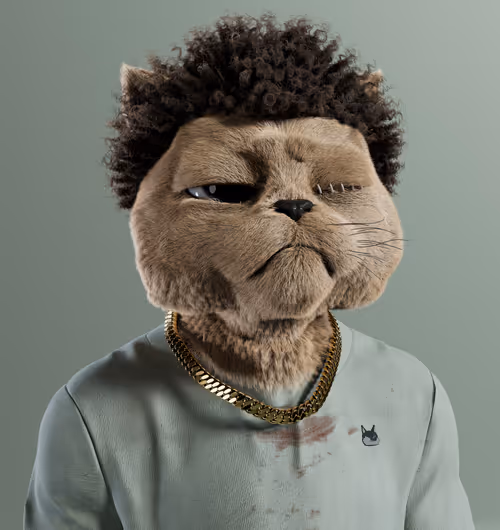 Kitty #7989