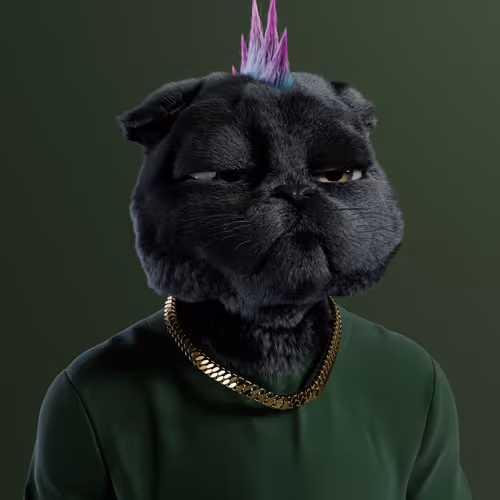 Kitty #6008