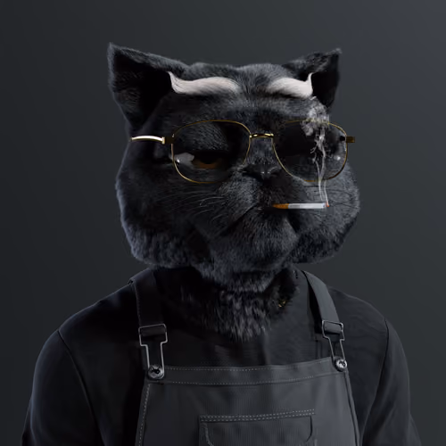 Kitty #3400