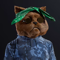 Kitty #6413