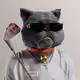 6161