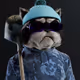 6337
