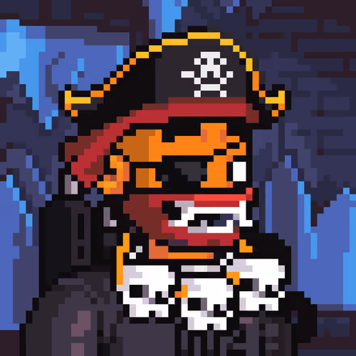 pirate #34563