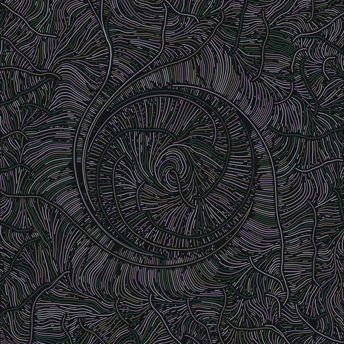 Streamlines By Numbersinmotion 1