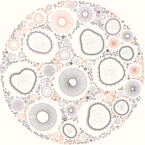 Petri Dish By James Dalessandro 1