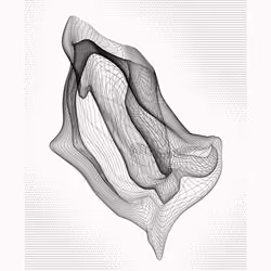 Pseudofigure #119