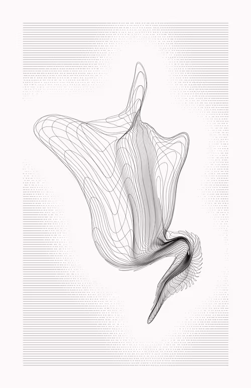 Item #12000120 Media