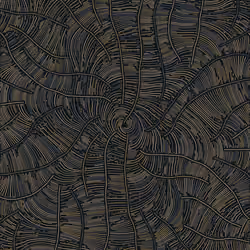 Streamlines #11