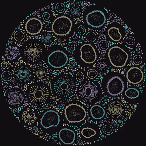 Item #11000012 Media