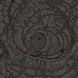 Streamlines #490