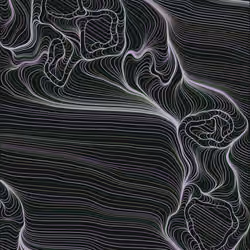 Streamlines #39