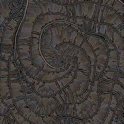 Streamlines #144