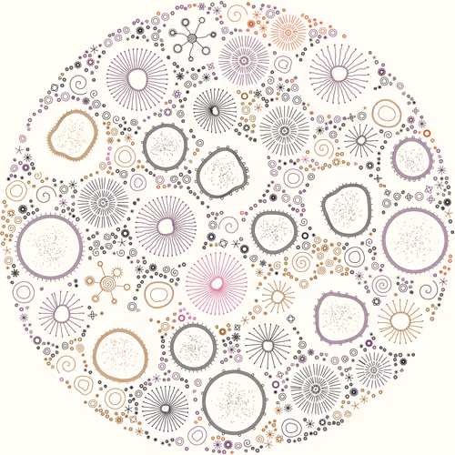 Item #11000008 Media