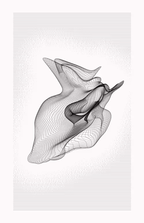 Item #12000023 Media