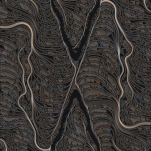 Streamlines #491