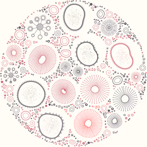 Item #11000018 Media