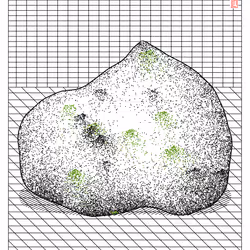 Really Random Rock #130