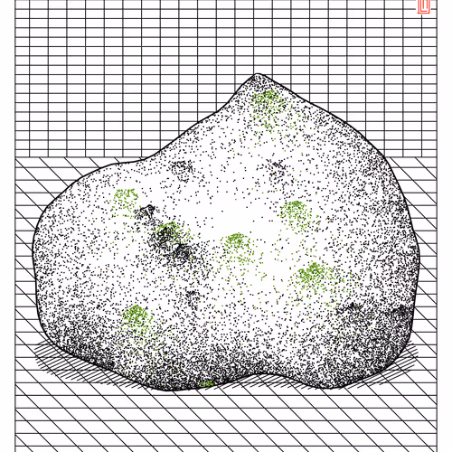 Really Random Rock #130