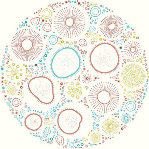 Item #11000034 Media