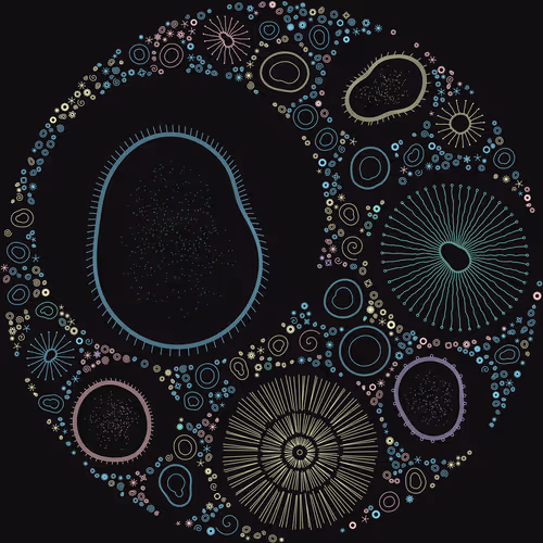 Item #11000015 Media