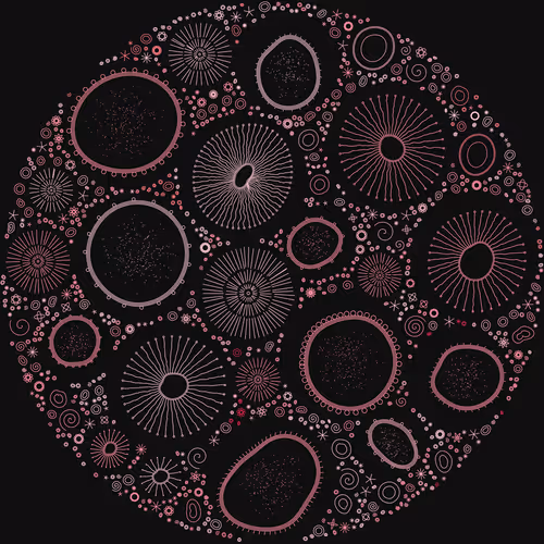 Item #11000021 Media