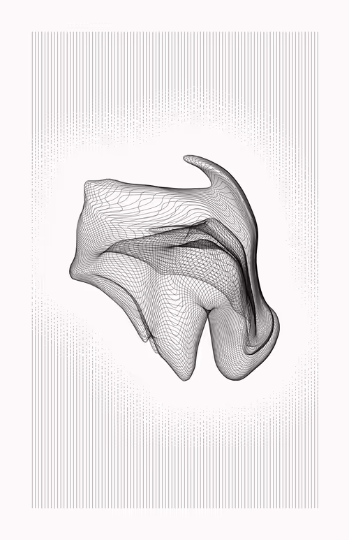 Item #12000092 Media