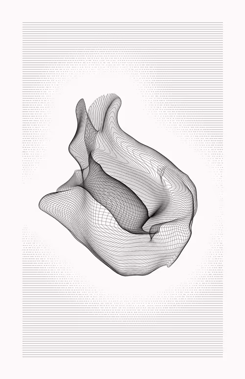 Item #12000130 Media