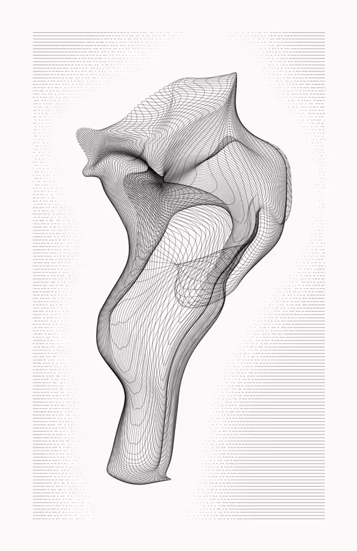 Item #12000040 Media