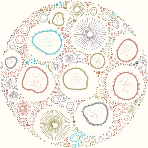 Item #11000036 Media