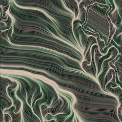 Streamlines #345
