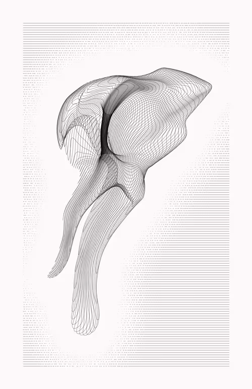 Item #12000081 Media