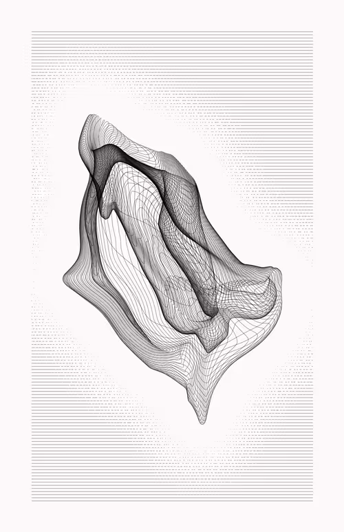 Item #12000119 Media