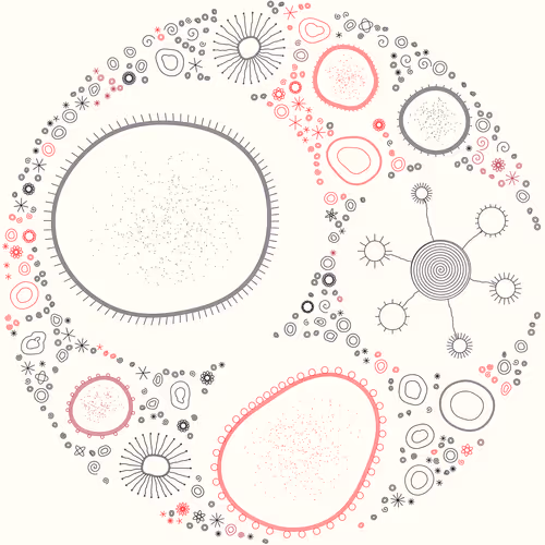 Item #11000016 Media