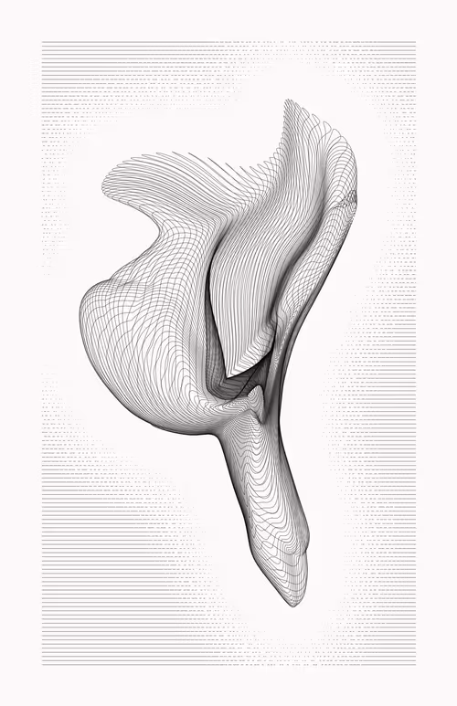 Item #12000138 Media