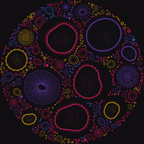 Item #11000029 Media