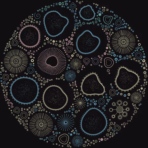 Item #11000025 Media