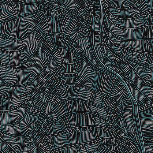 Streamlines By Numbersinmotion 1