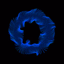 Diatom #28