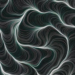 Streamlines #309